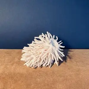 1.3 Copan : memory of the Mayans