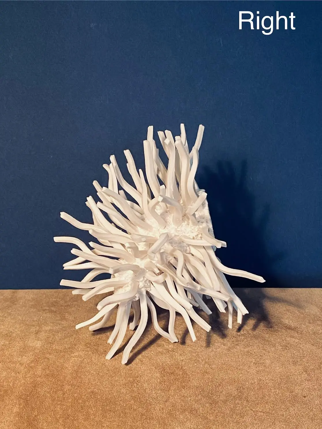 1.4 Procyon : universe double star - Image 3