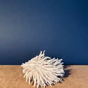 1.3 Copan : memory of the Mayans - Image 2