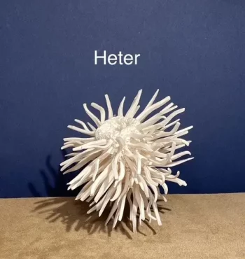 1.1 Heter : feelings & desires - Image 4