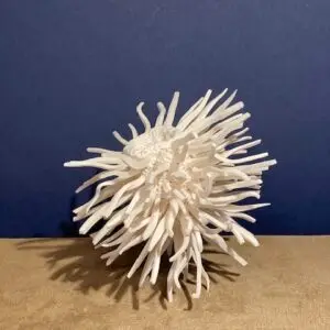 IMG_0692-300×300 1.1 Heter : feelings & desires