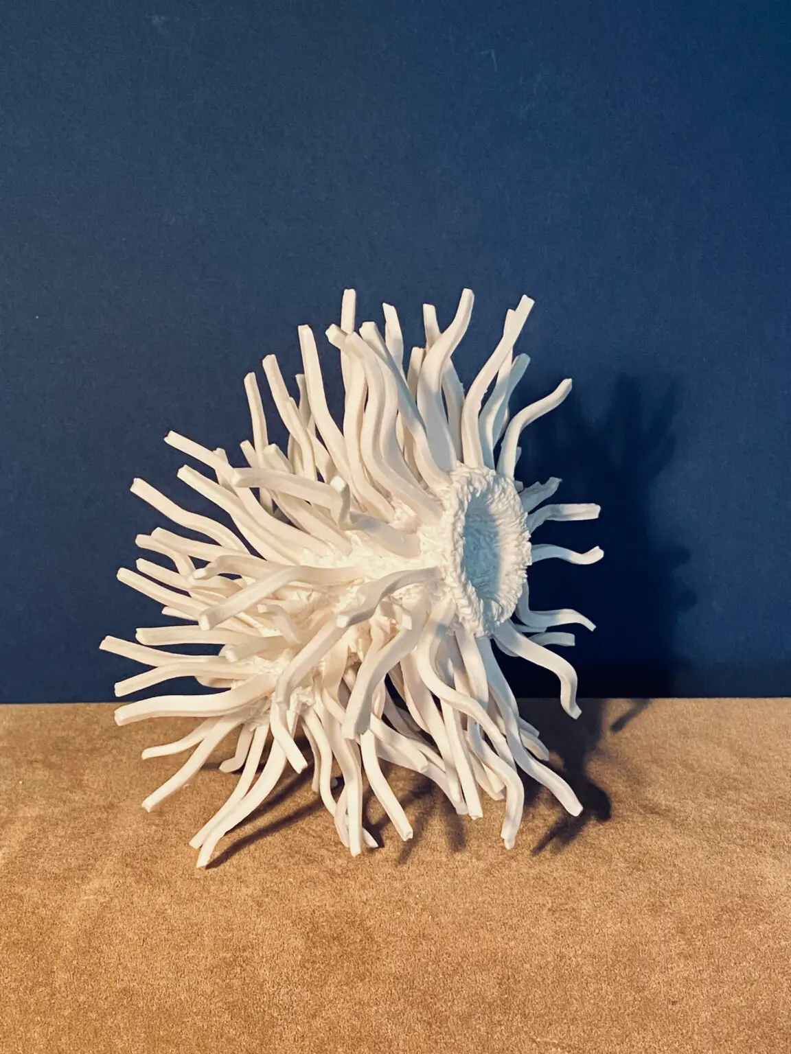 1.4 Procyon : universe double star - Image 4