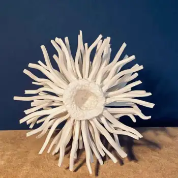 1.4 Procyon : universe double star