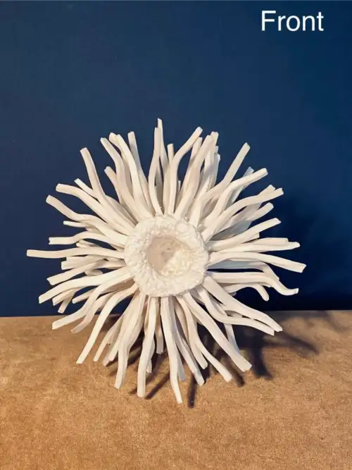 unnamed-37-1152×1536 1.4 Procyon : universe double star