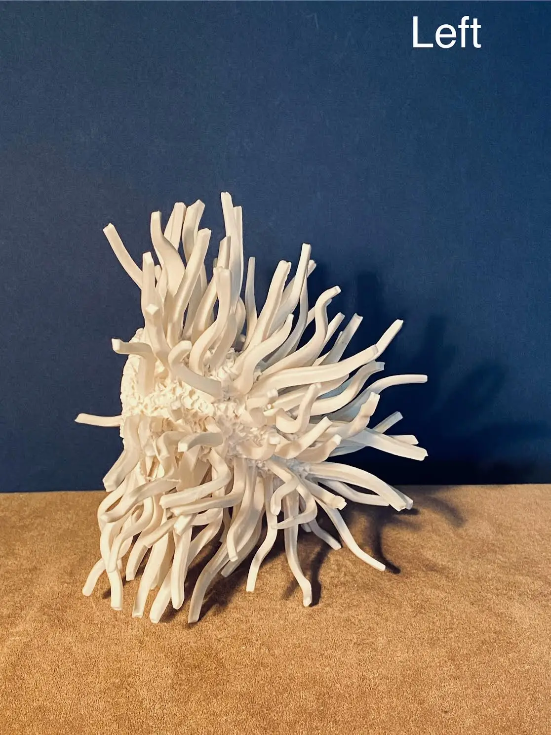 1.4 Procyon : universe double star - Image 5