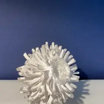 2.4 Centaro : between myths and blooming anemones  294cm3