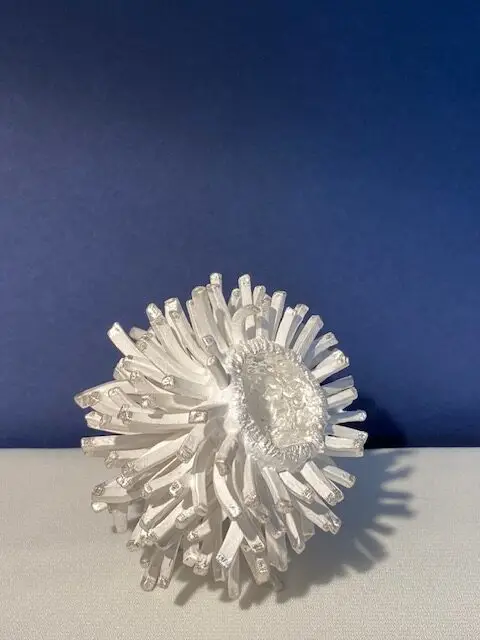 2.4 Centaro : between myths and blooming anemones  294cm3