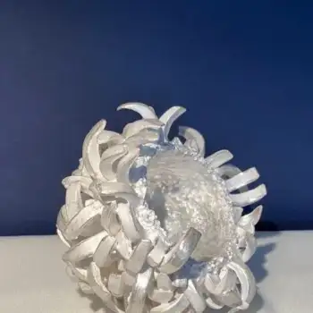 4.5 Anomala : a delicate dance between porcelain and silver 448cm3