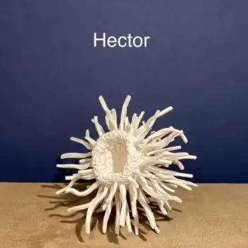 3.1 Hector : touching Dragon Hunter