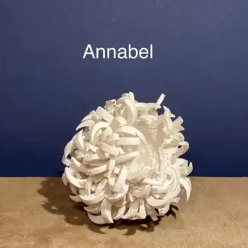 4.1 Annabel : delicate hydrangea