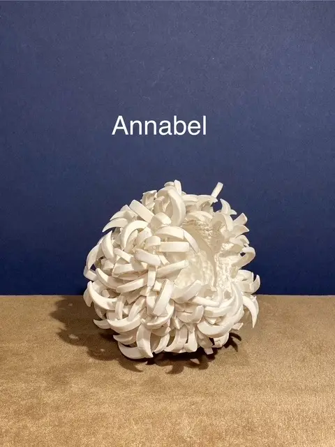 4.1 Annabel : delicate hydrangea