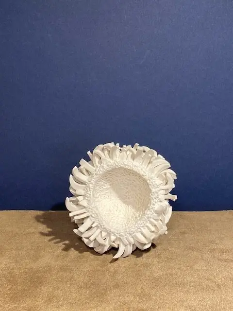 4.2 Aspera : the essence of nature - Image 4