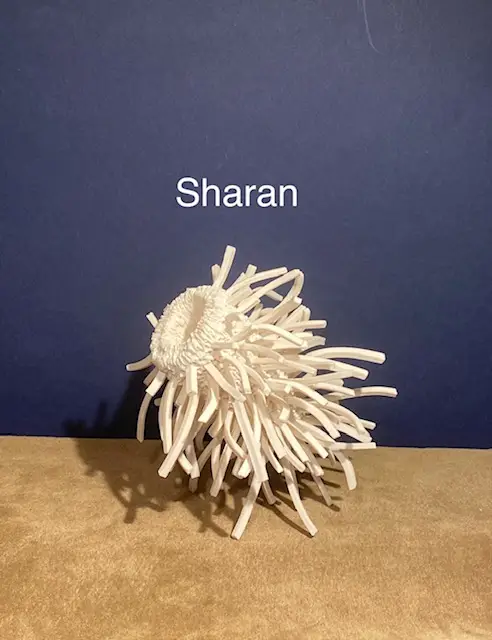 2.1 Sharan :  enchanting beauty