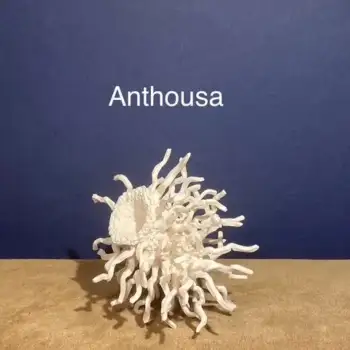 5.1 Anthousa : nymph of flowers.