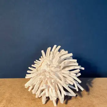 2.3 Magic : manipulating reality