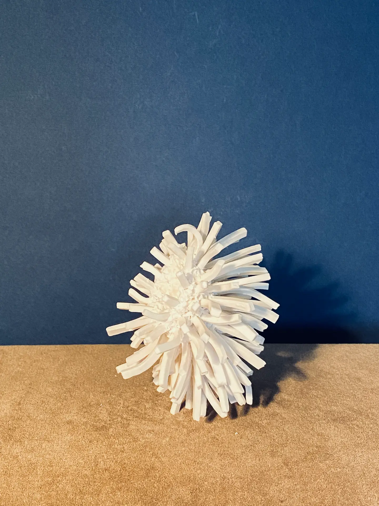 2.2 Denyra : worth a wrestling match - Image 6