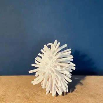 2.2 Denyra : worth a wrestling match