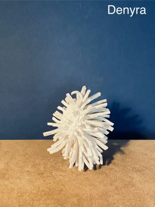 2.2 Denyra : worth a wrestling match