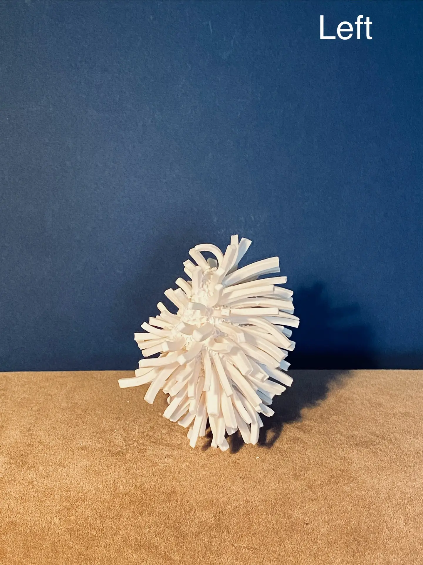 2.2 Denyra : worth a wrestling match - Image 5