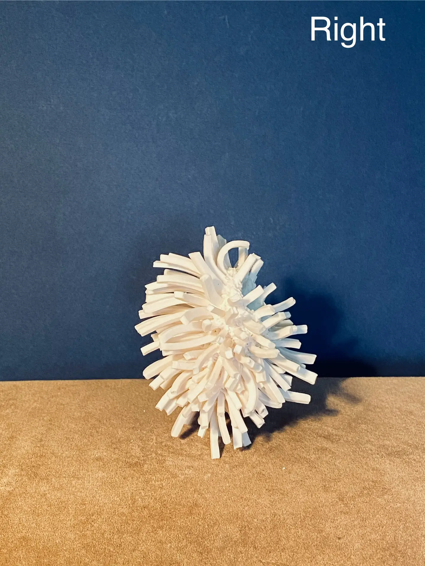 2.2 Denyra : worth a wrestling match - Image 4