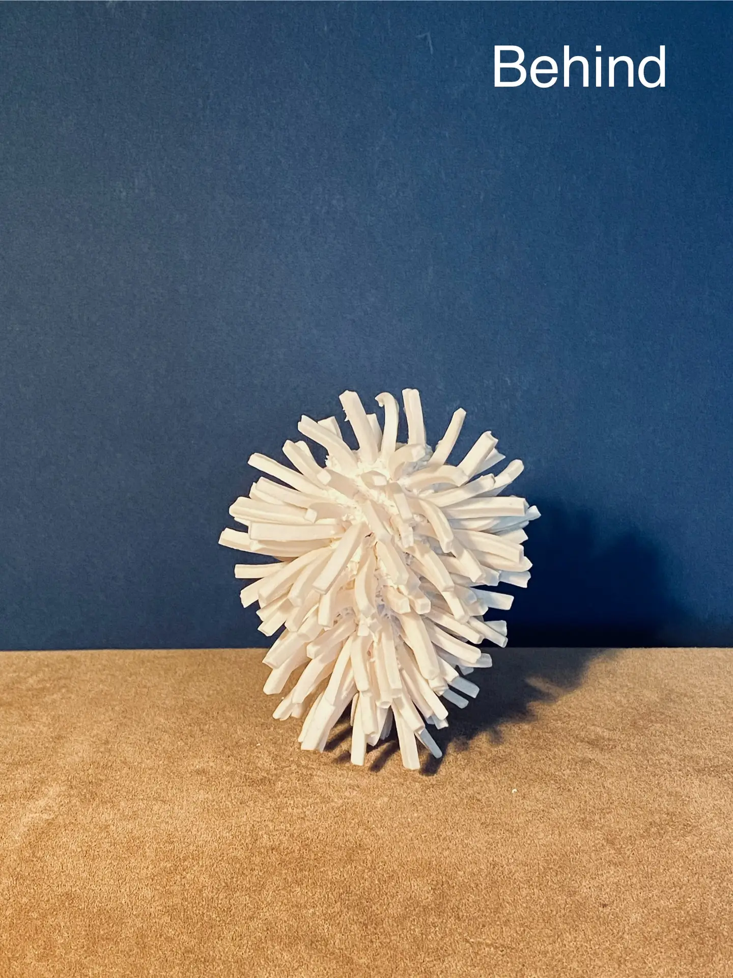 2.2 Denyra : worth a wrestling match - Image 2