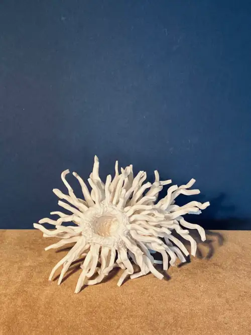 5.3 Callisto : in Myth a she-bear