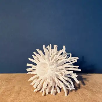 3.2 Sundust : traces of sunshine