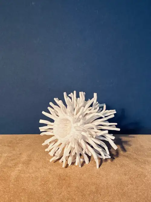 3.2 Sundust : traces of sunshine