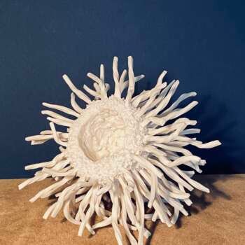 3.3 Twist : dynamic moves