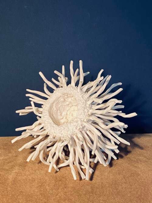 3.3 Twist : dynamic moves