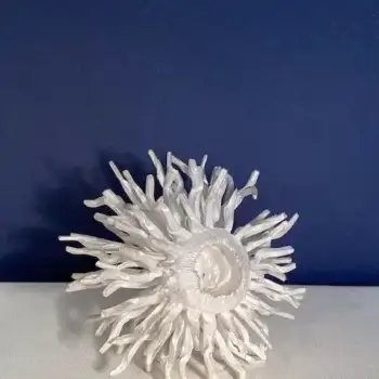 5.4 Ciaran : invitation to contemplate contrast 891cm3