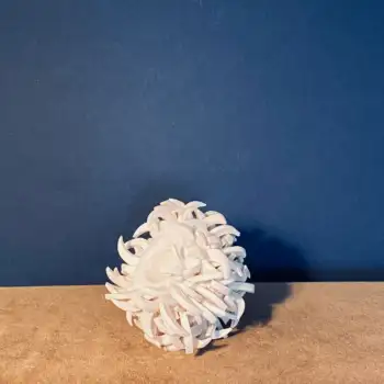 4.4 Quercy : stunning vibrant blooms