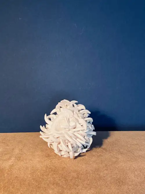 4.4 Quercy : stunning vibrant blooms