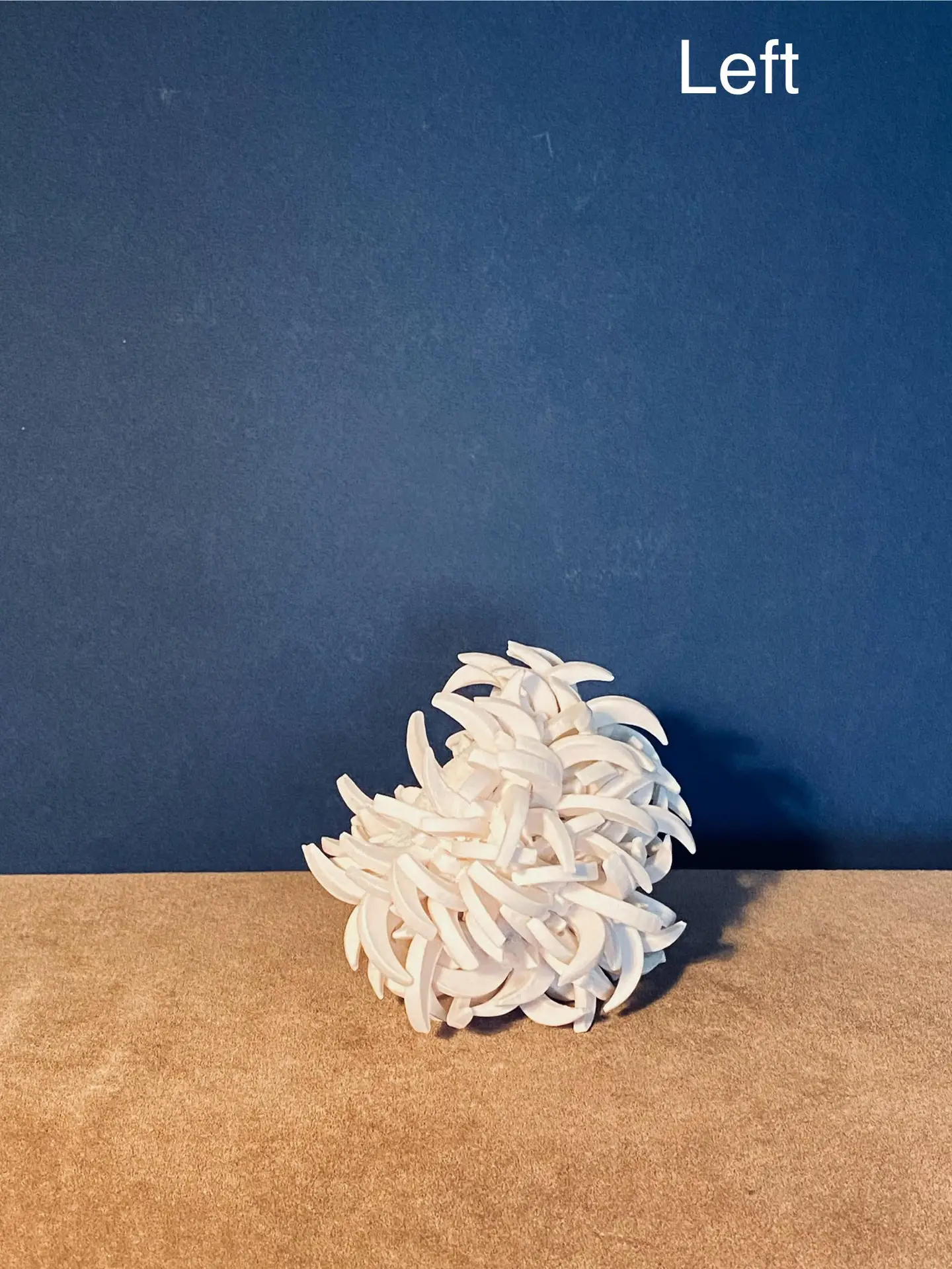 4.4 Quercy : stunning vibrant blooms - Image 2