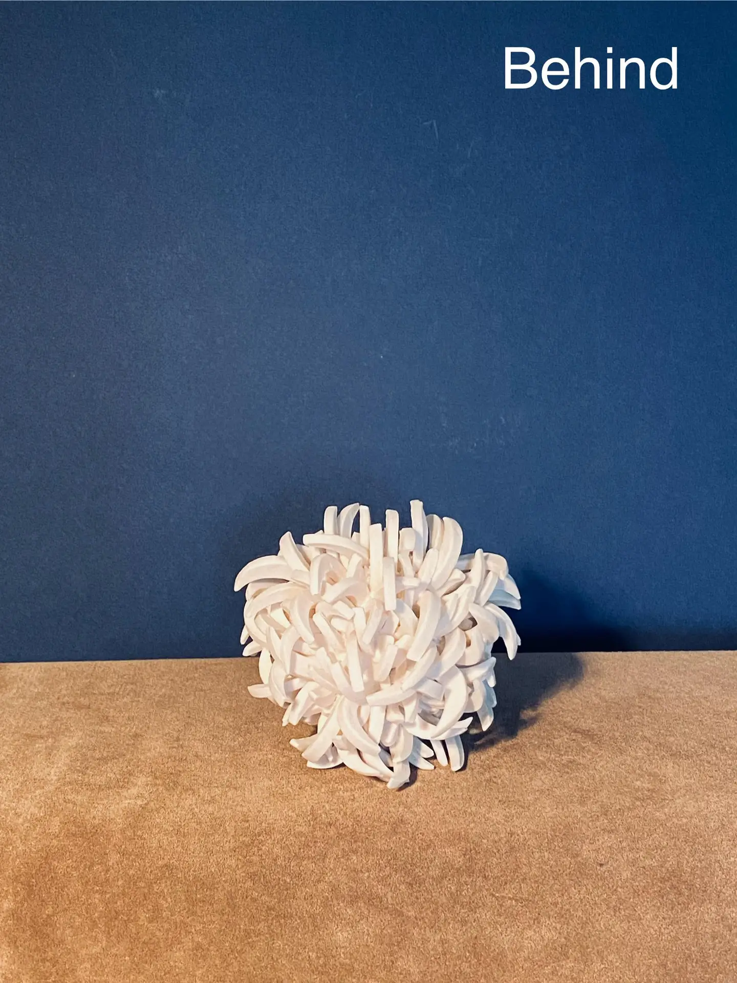 4.4 Quercy : stunning vibrant blooms - Image 5