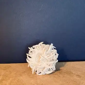 4.3 Dew : beauty of the early morning