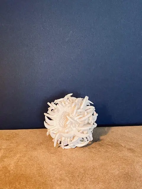 4.3 Dew : beauty of the early morning