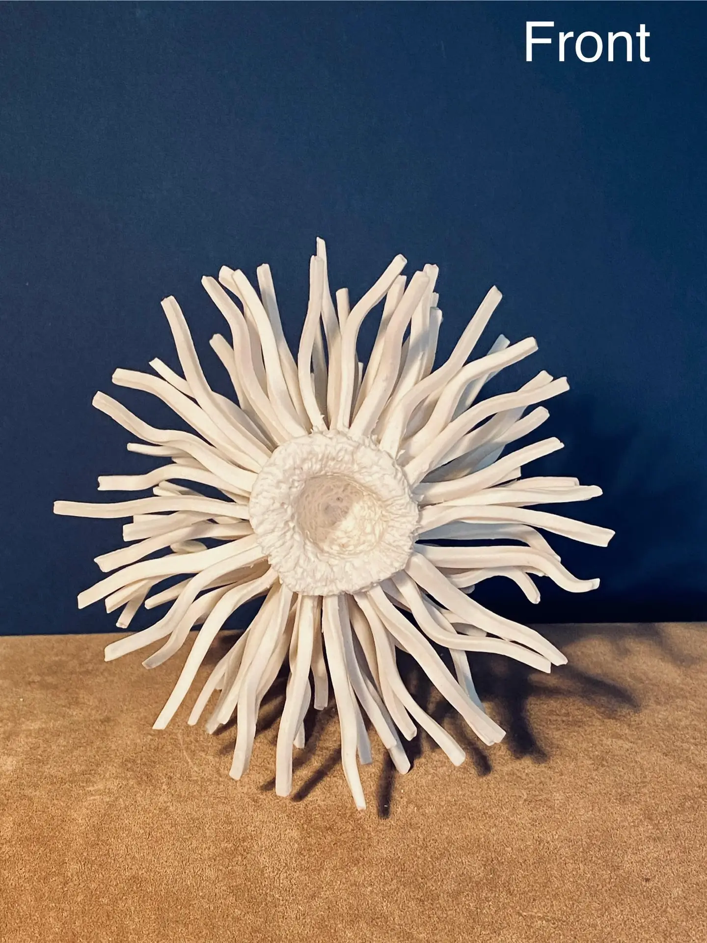 1.4 Procyon : universe double star - Image 3