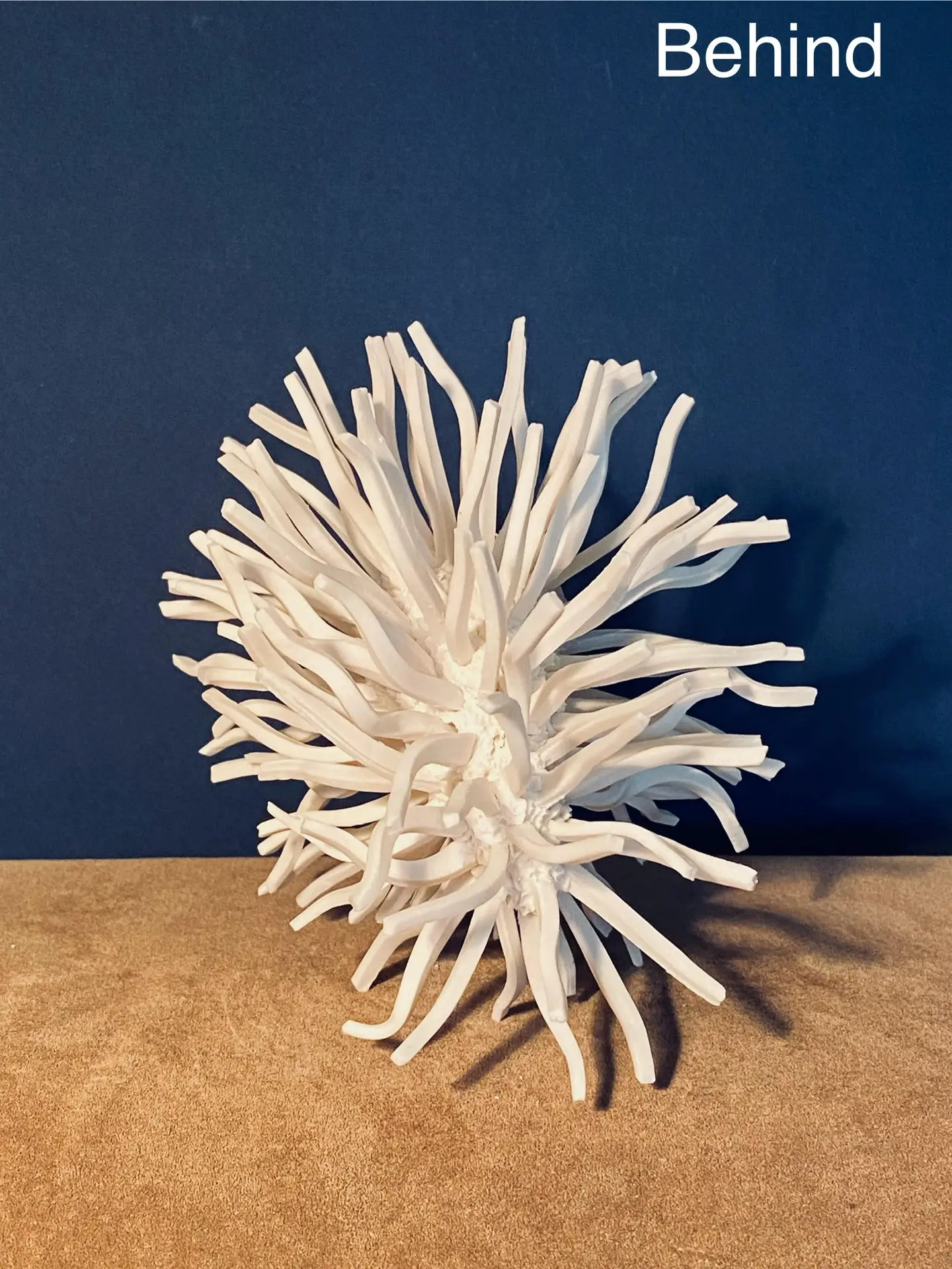 1.4 Procyon : universe double star - Image 4